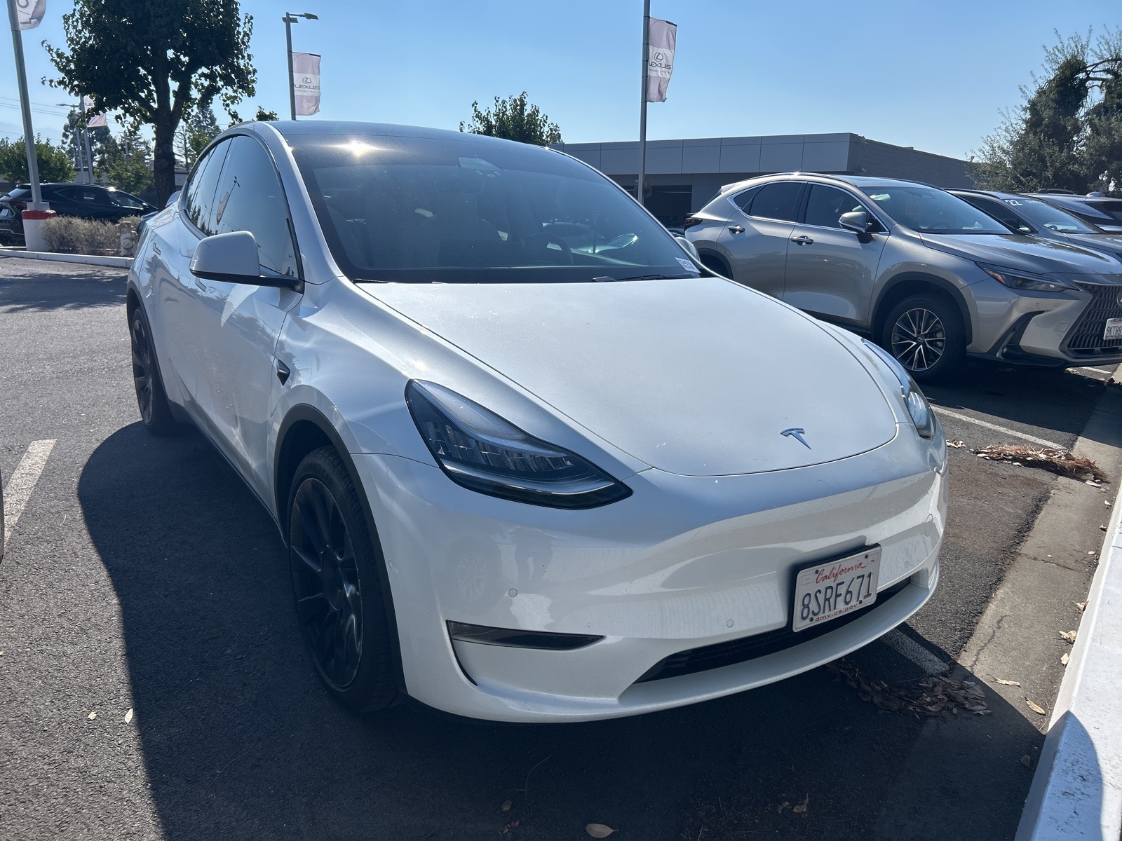 Used 2020 Tesla Model Y Long Range with VIN 5YJYGDEE5LF056287 for sale in Kansas City