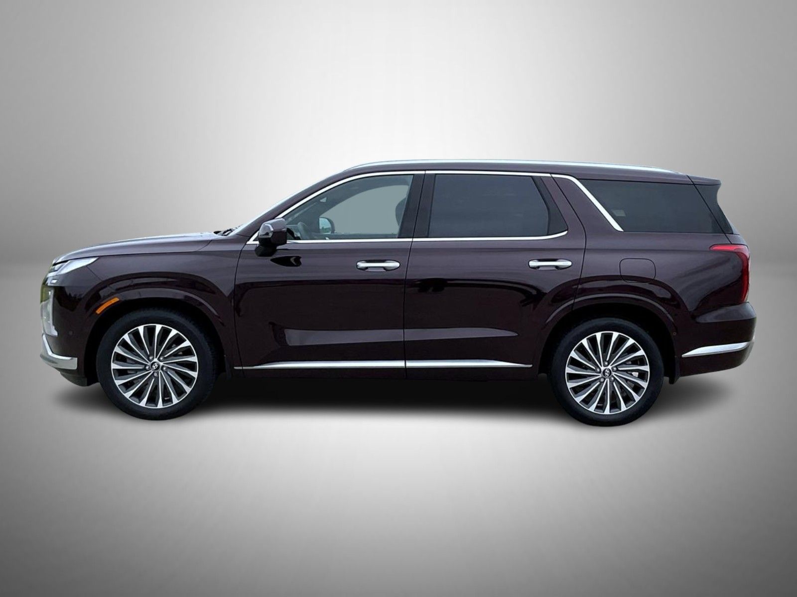 2025 Hyundai Palisade Calligraphy photo 8