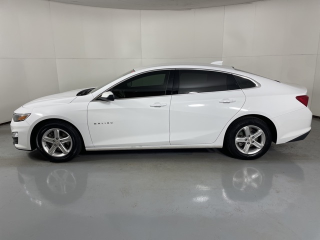 2023 Chevrolet Malibu 1LT photo 5