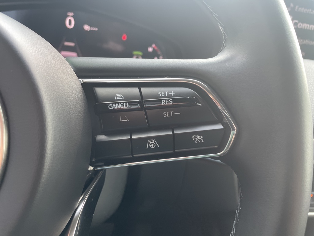 2025 Mazda CX-90 3.3 Turbo Premium photo 14