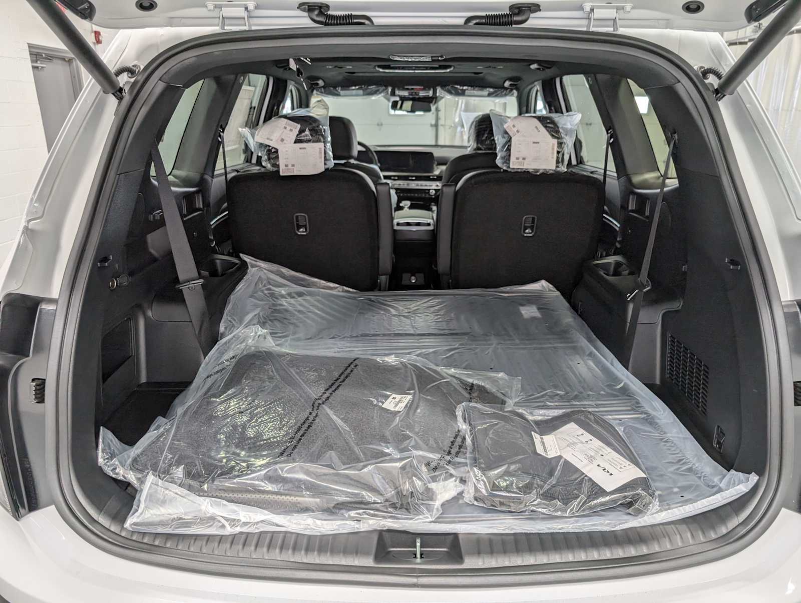 2025 Kia Telluride EX X-Line photo 9