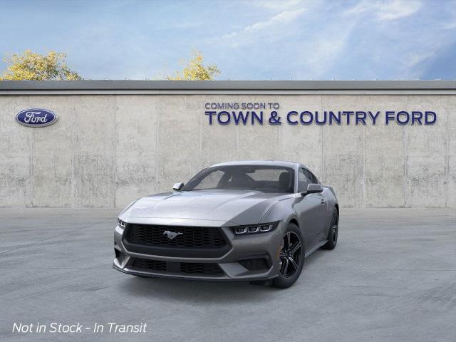 2025 Ford Mustang EcoBoost photo 12