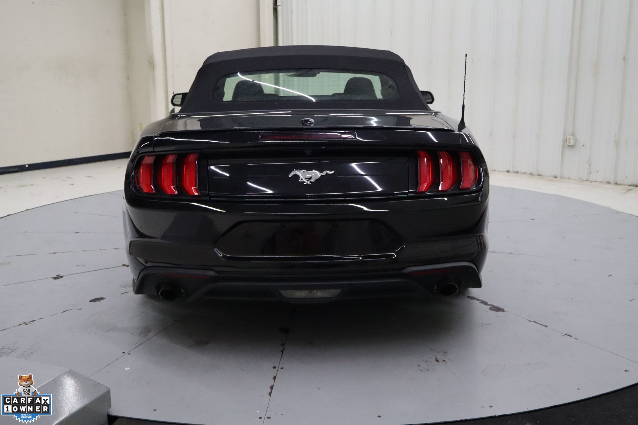2023 Ford Mustang EcoBoost Premium photo 4