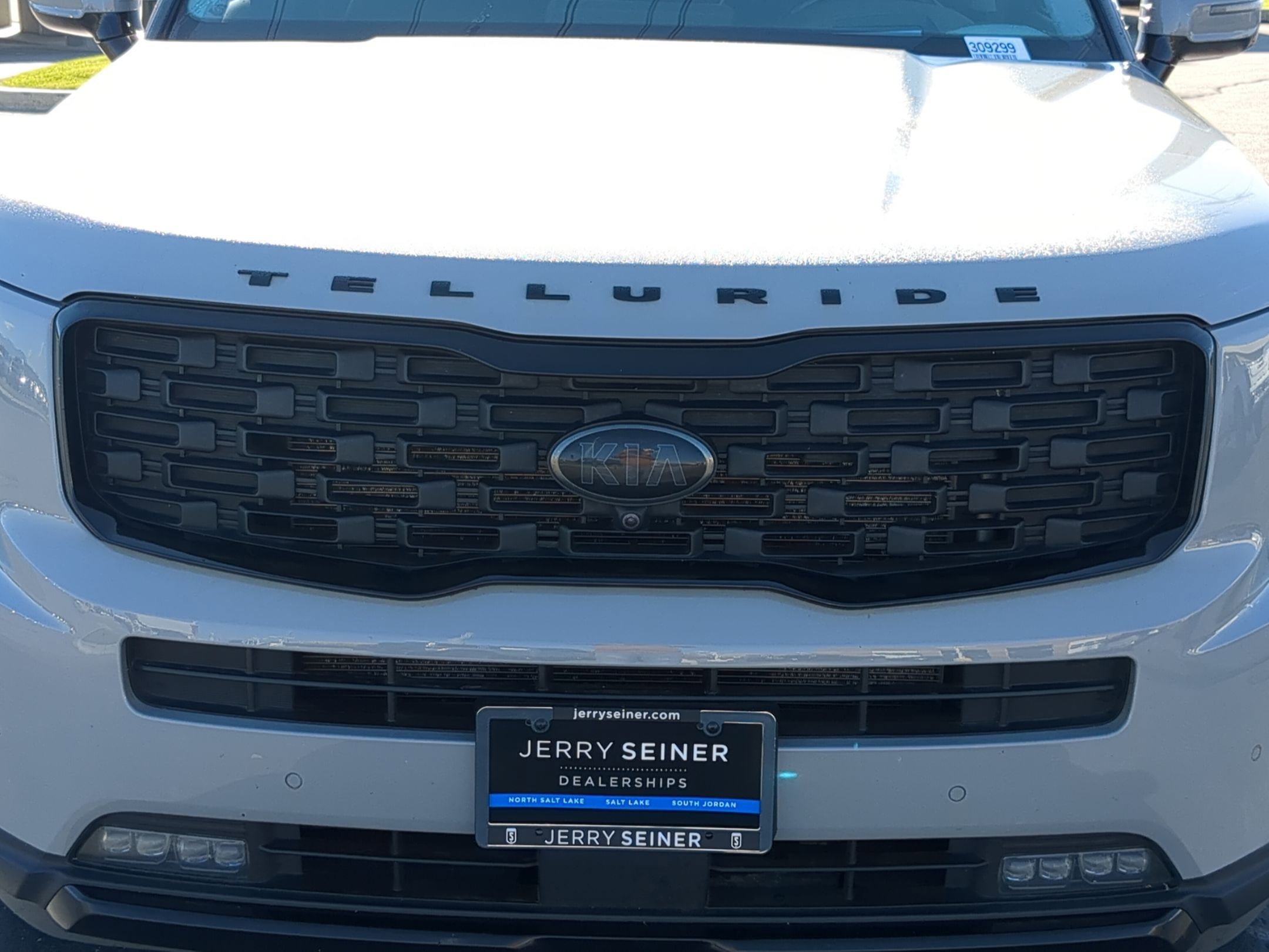 2021 Kia Telluride SX photo 9
