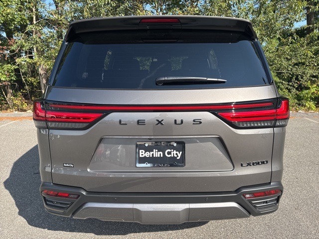 2025 Lexus LX 600 Luxury photo 3