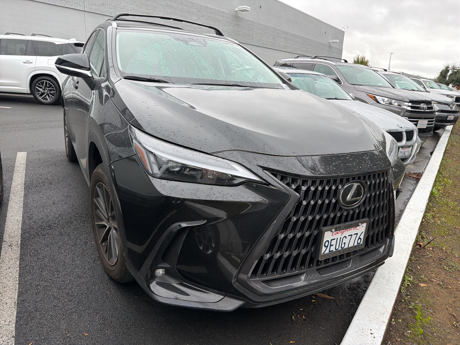 2023 Lexus NX 350's photo