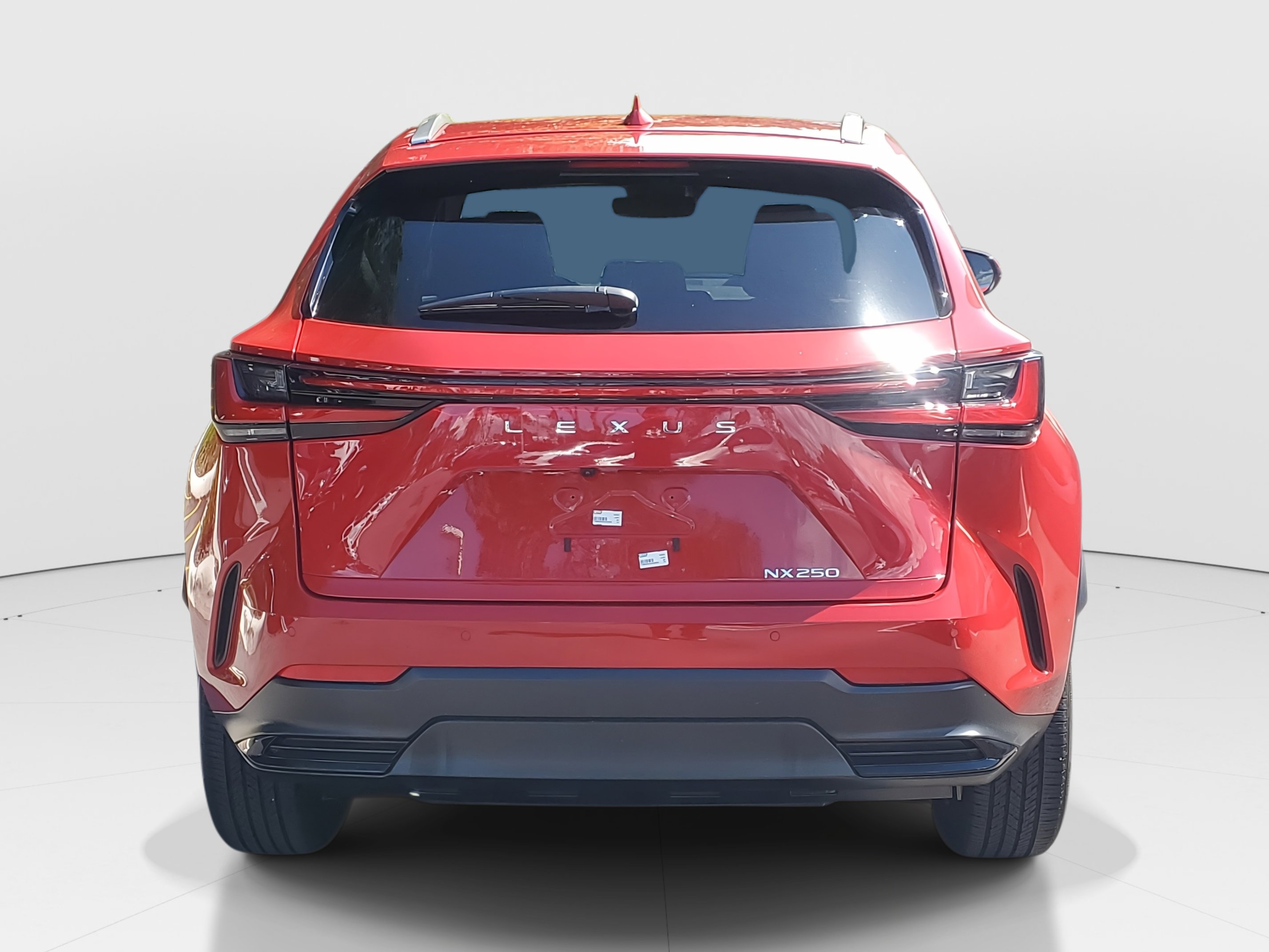 2025 Lexus NX 250 photo 6