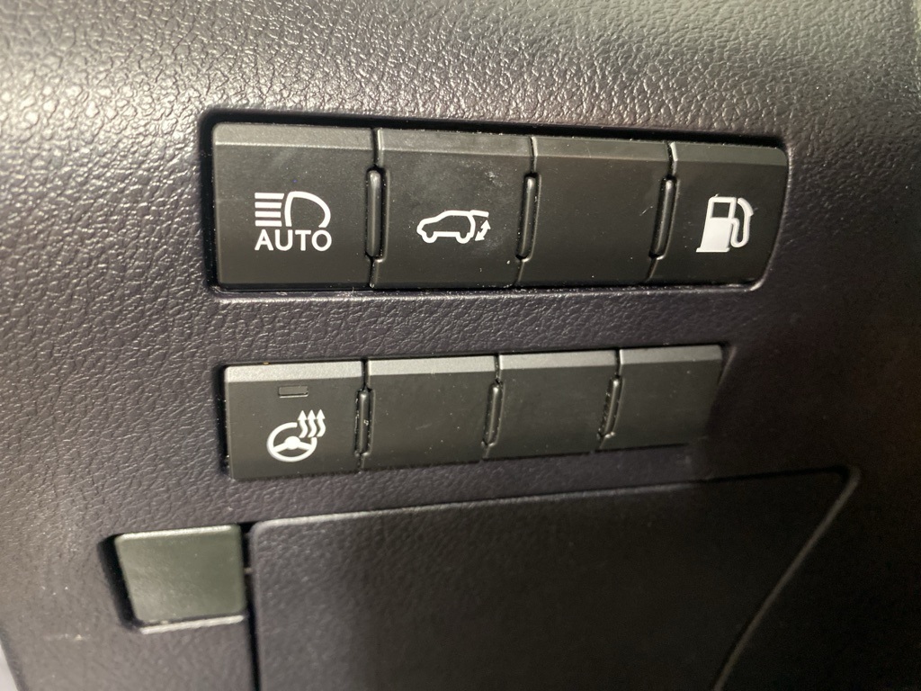 2021 Lexus RX 450h photo 24