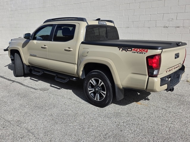 2019 Toyota Tacoma TRD Sport photo 3