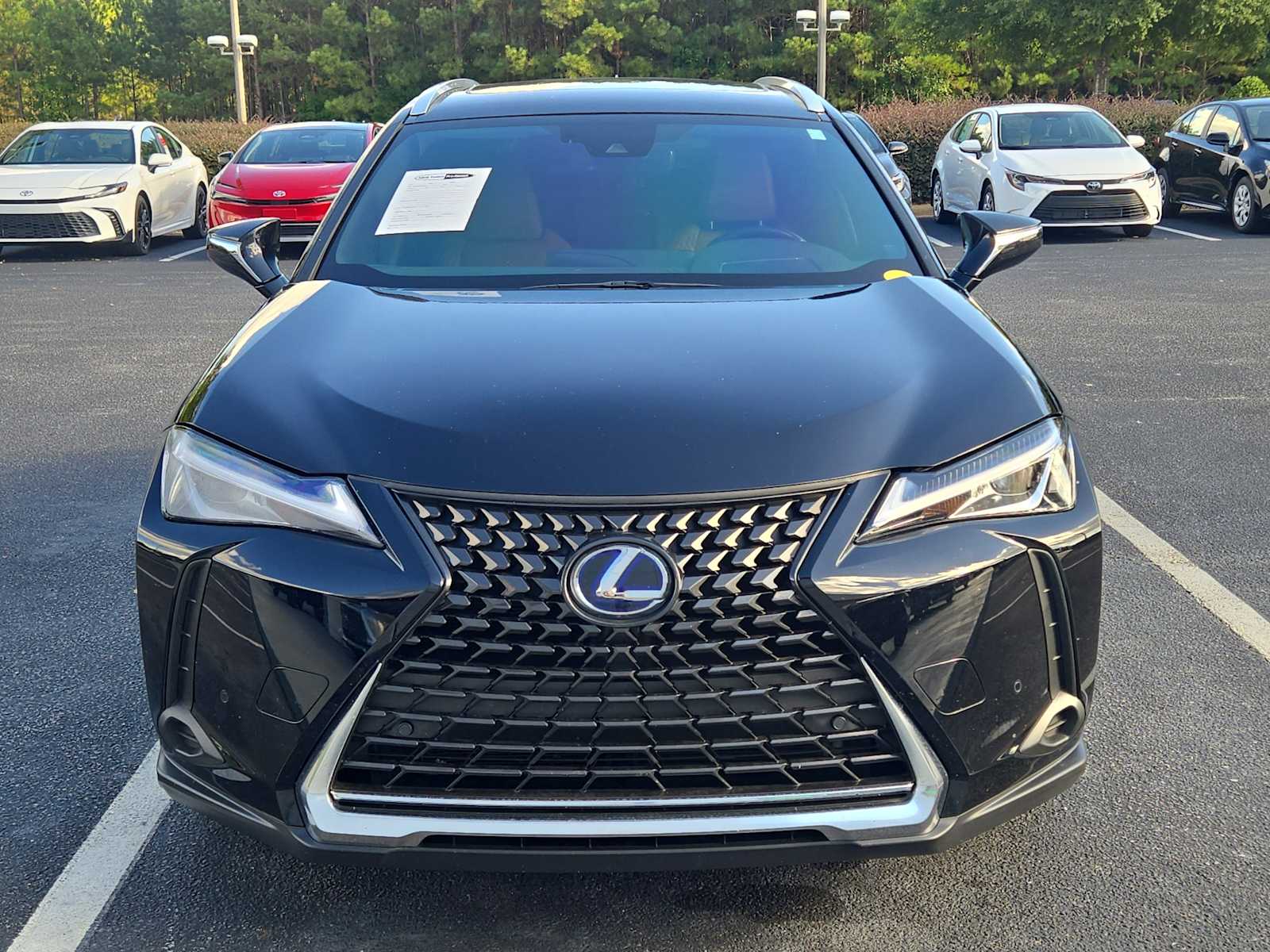 2021 Lexus UX 250h photo 2