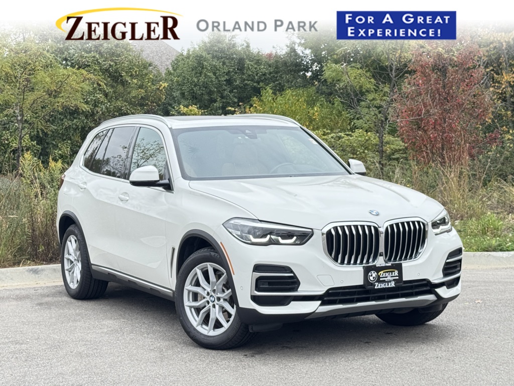 2023 BMW X5 40i's photo