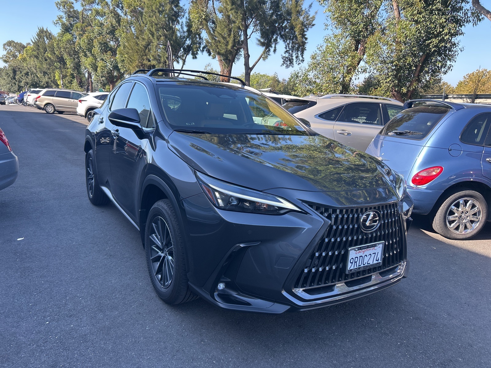 2025 Lexus NX 350h Premium photo 2