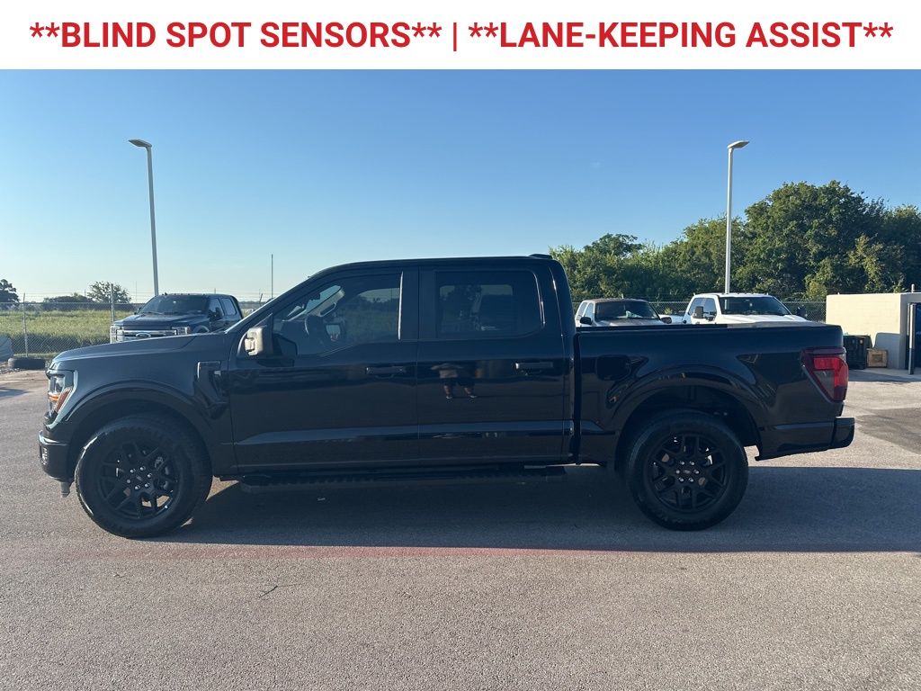 2025 Ford F-150 STX photo 3