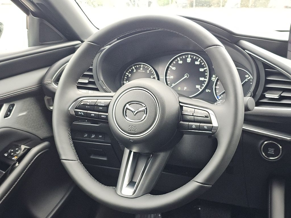 2025 Mazda Mazda3 2.5 Turbo Premium Plus photo 28