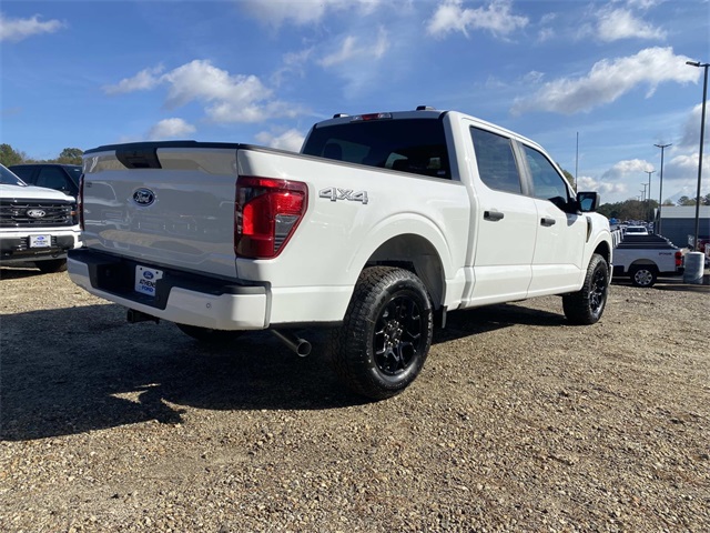 2025 Ford F-150 STX photo 3
