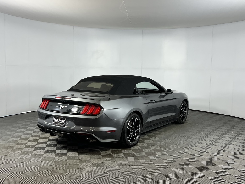 2023 Ford Mustang EcoBoost Premium photo 3