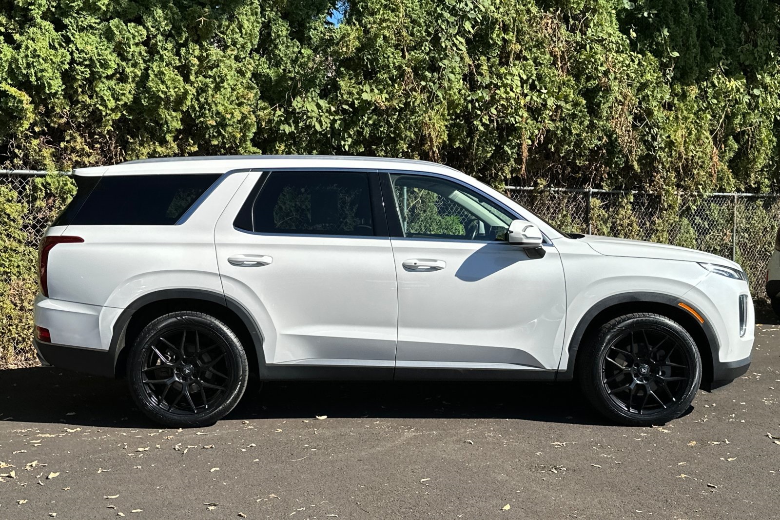 2021 Hyundai Palisade SEL photo 3