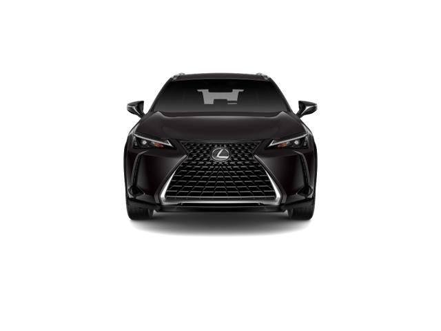 2025 Lexus UX photo 5
