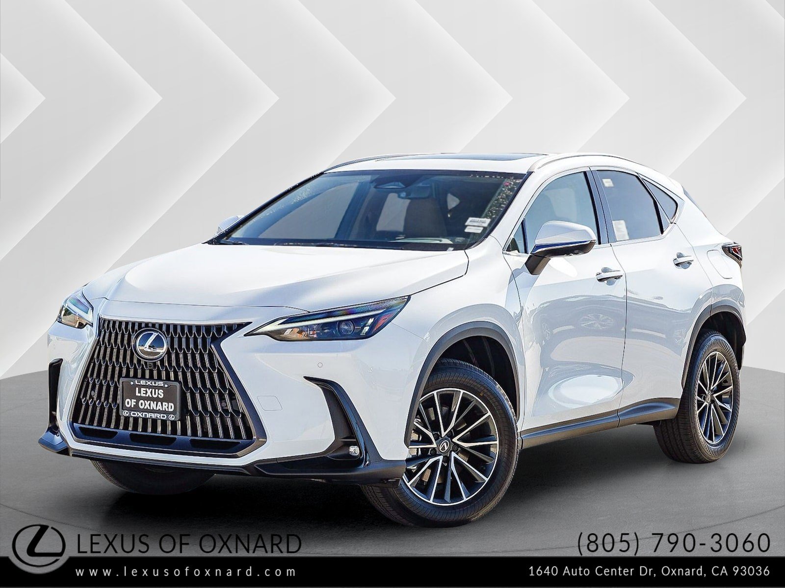 2026 Lexus NX PHEV 450h+'s photo
