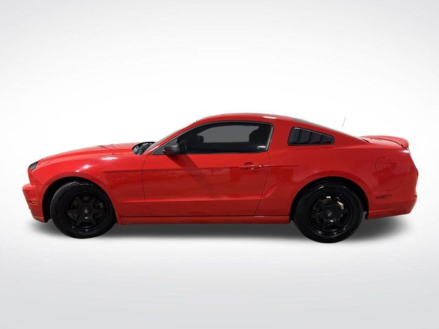 2013 Ford Mustang V6 photo 9
