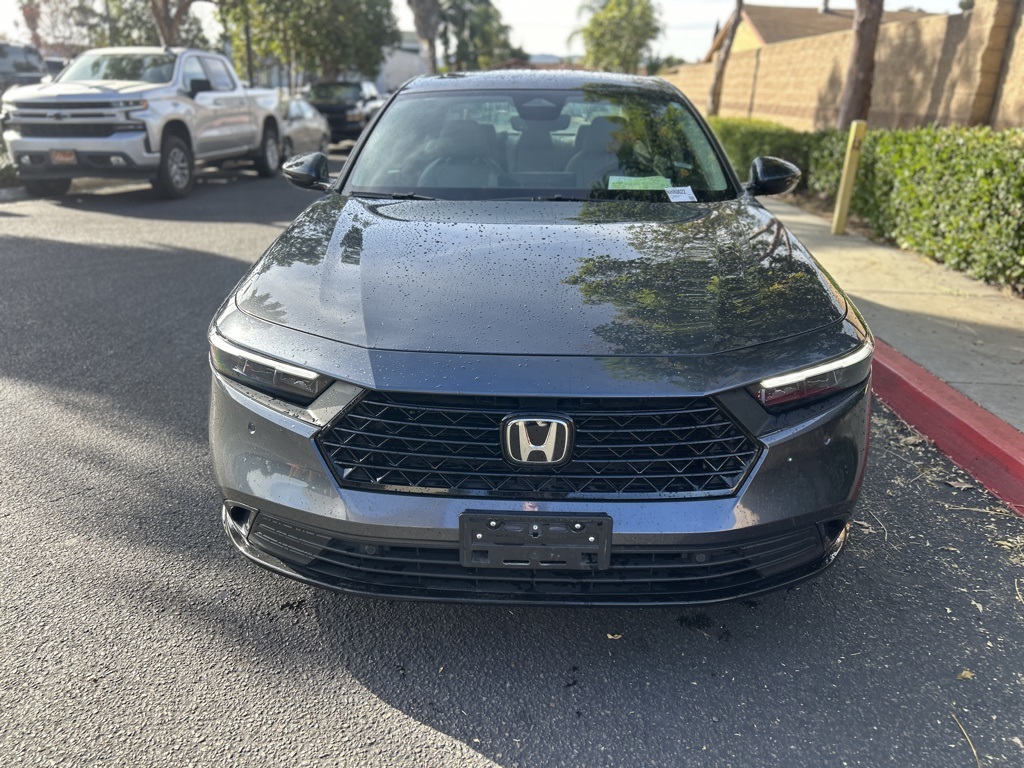 Used 2024 Gray Honda EX-L image 2