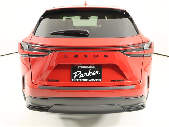 2025 Lexus NX 250 photo 3