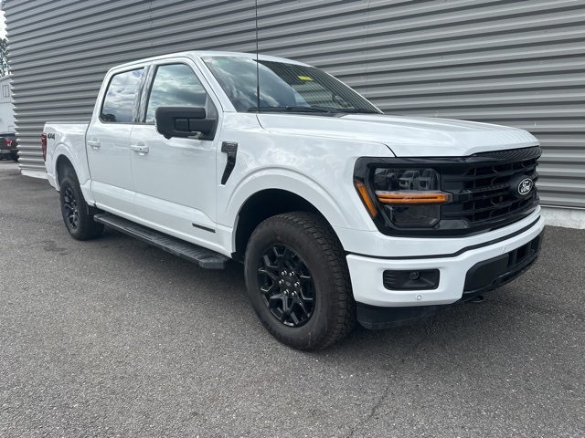 2025 Ford F-150 XLT's photo