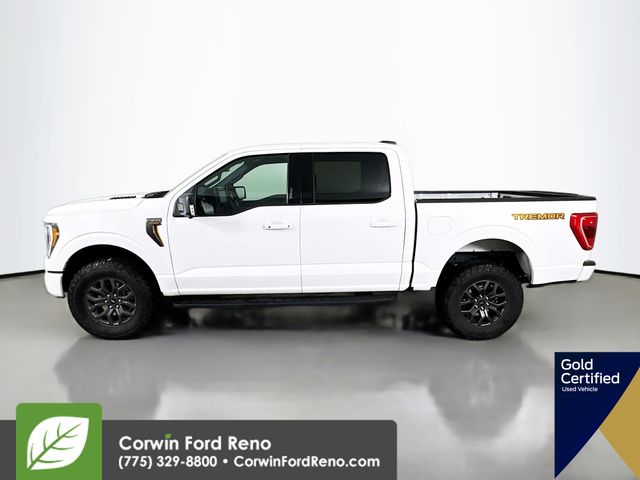 2023 Ford F-150 Tremor photo 4