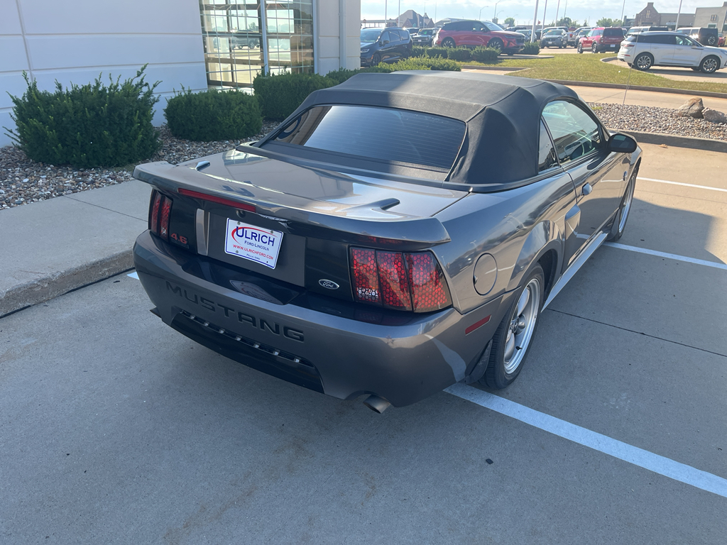 2004 Ford Mustang GT photo 7