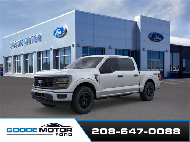 2025 Ford F-150 STX's photo