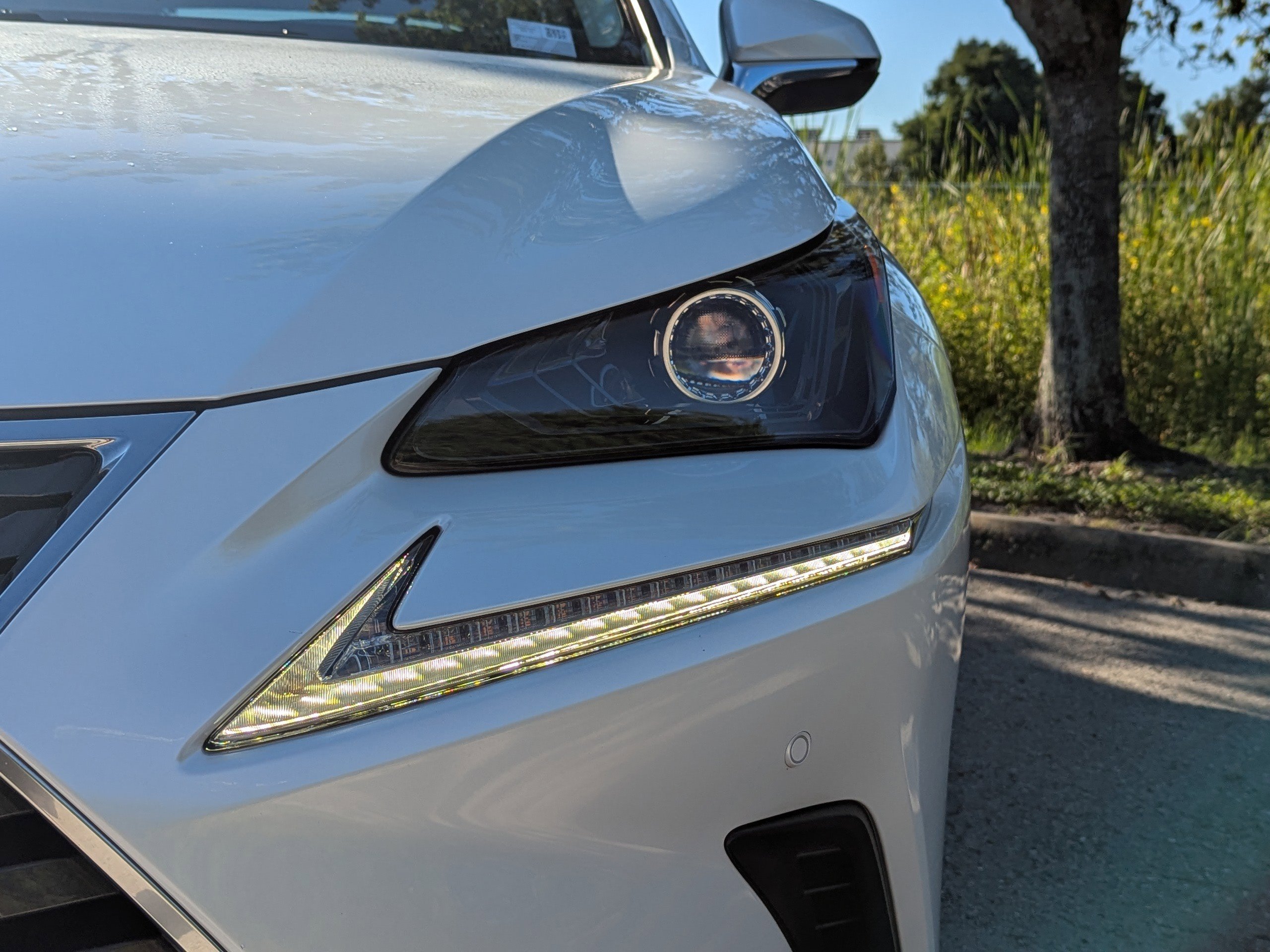 2018 Lexus NX 300h Luxury photo 8