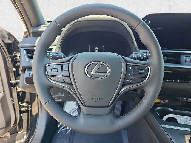 2025 Lexus UX Premium photo 18