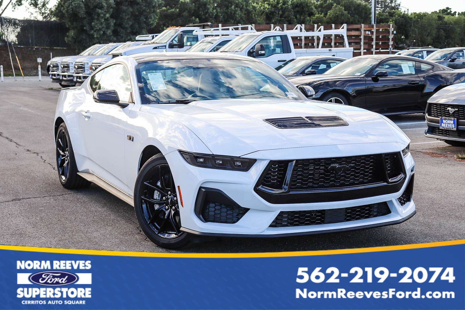 2025 Ford Mustang GT Premium's photo