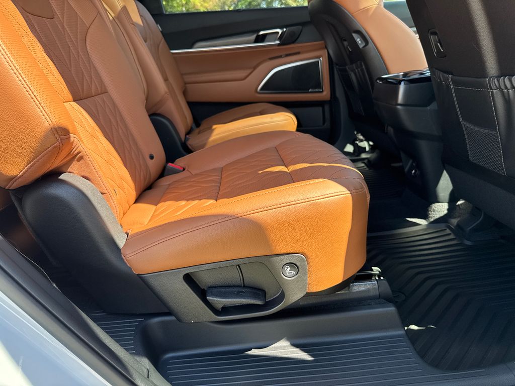 2025 Kia Telluride SX X-Line photo 15