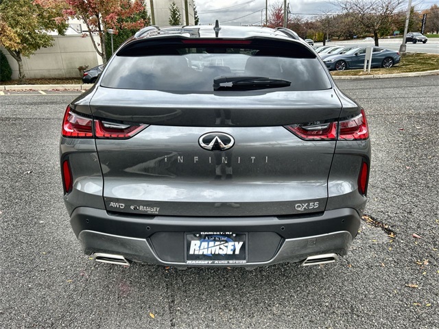 2025 Infiniti QX55 Luxe photo 2