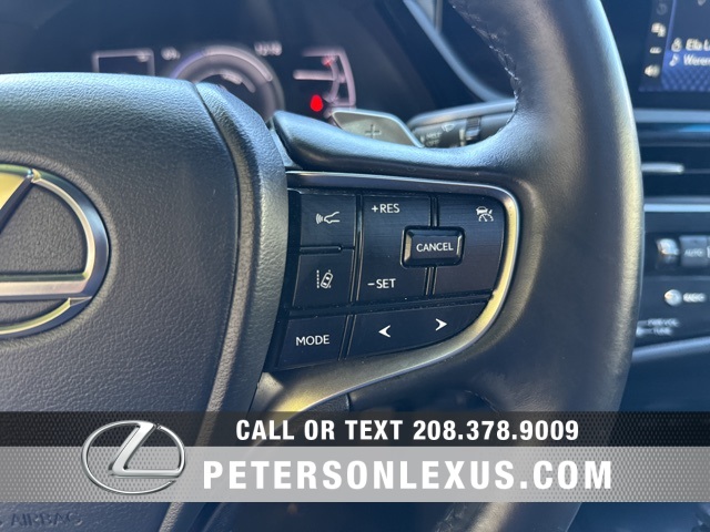 2022 Lexus ES 300h photo 23