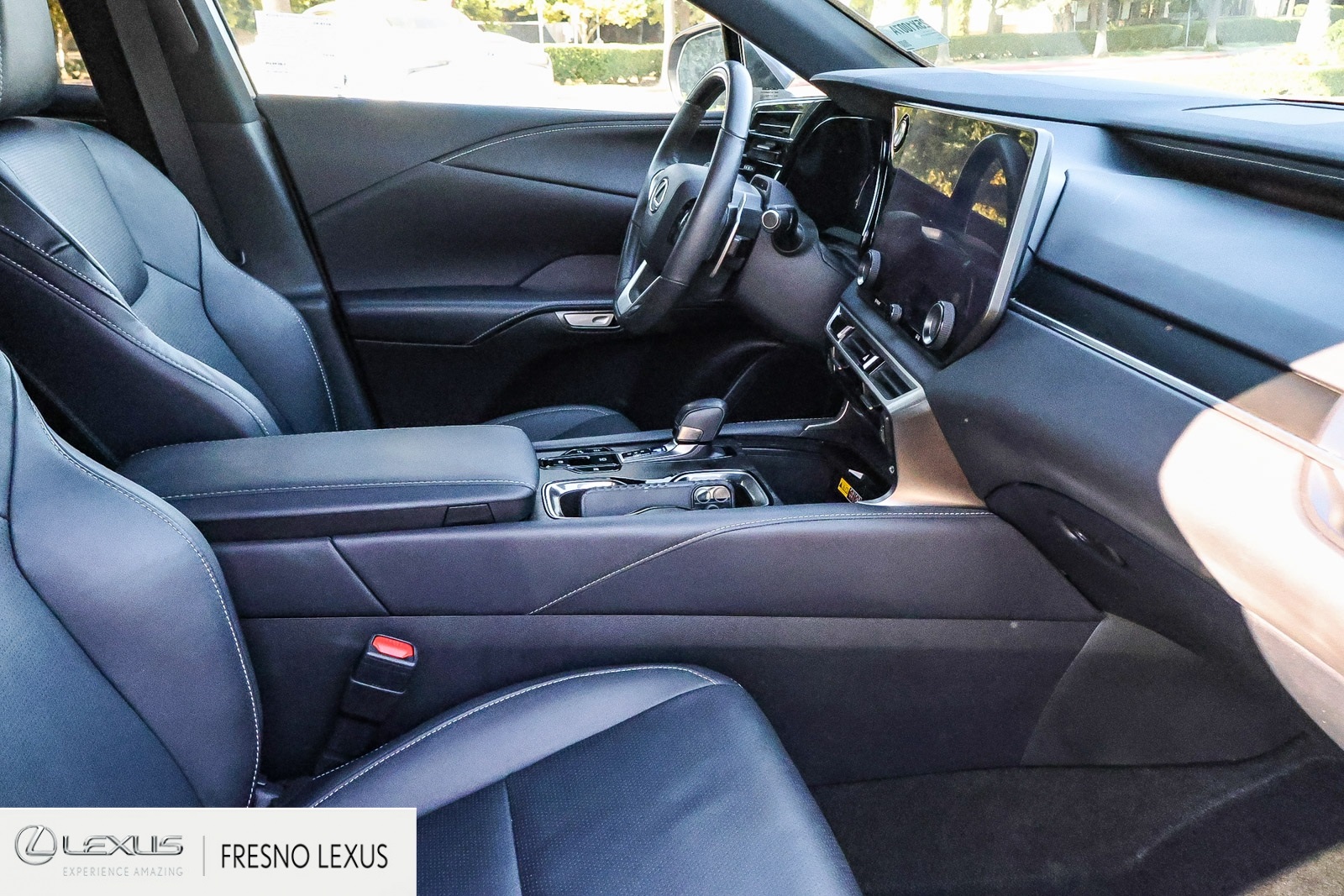 2023 Lexus RX 350h Premium photo 10