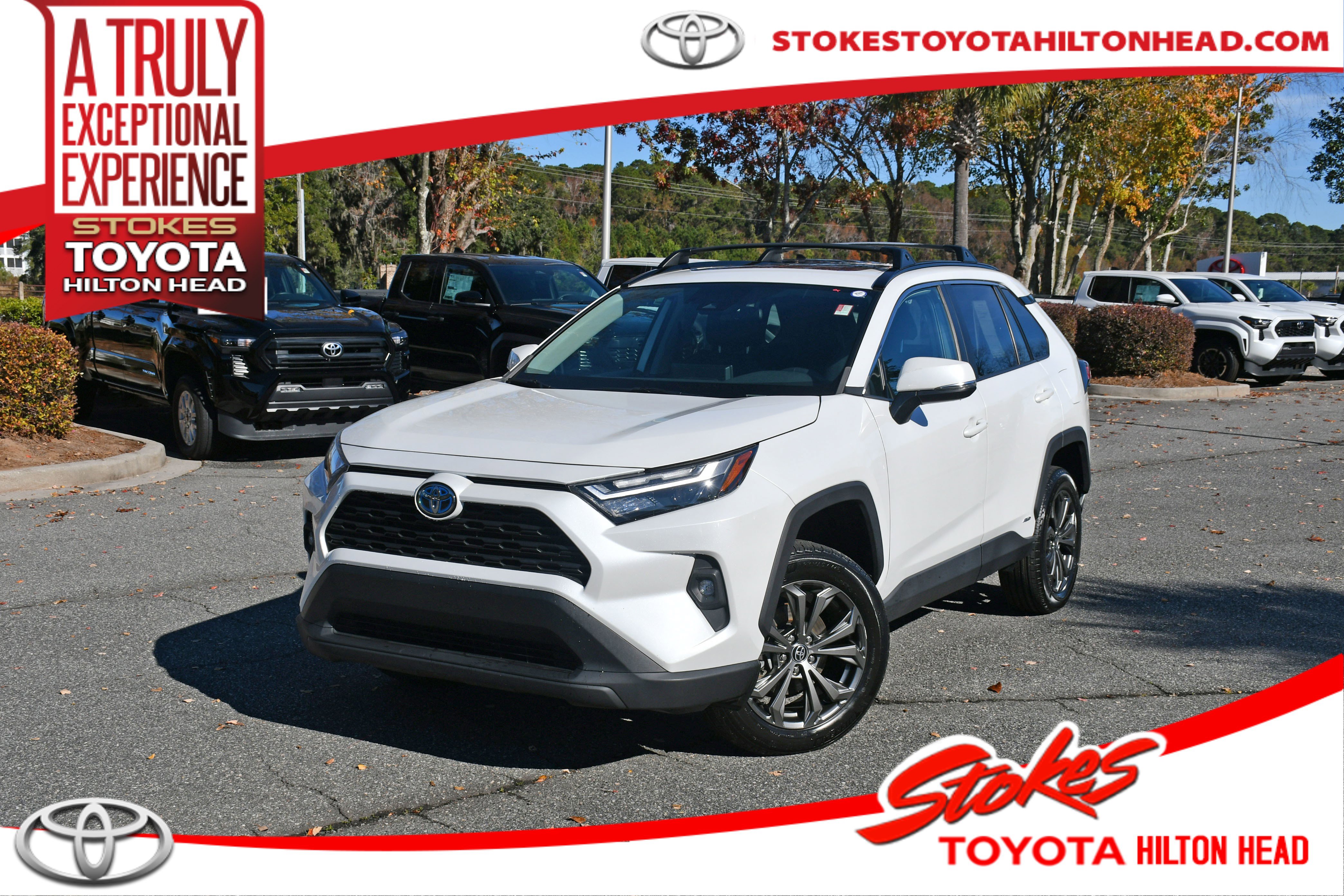 2023 Toyota RAV4 XLE Premium's photo