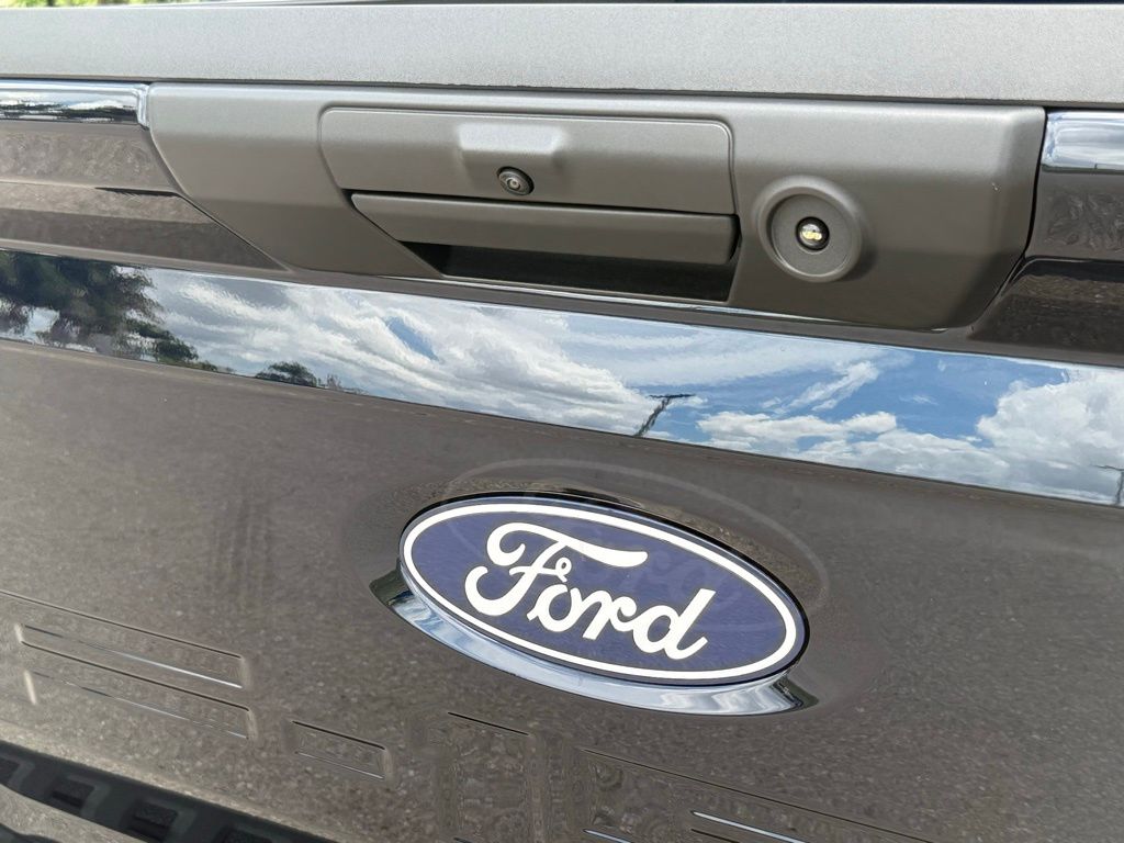 2025 Ford F-150 Lightning photo 28
