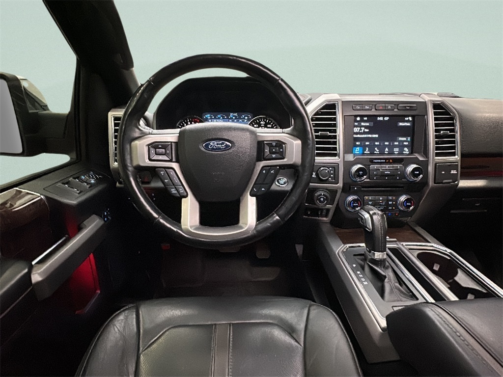 2017 Ford F-150 Platinum photo 14