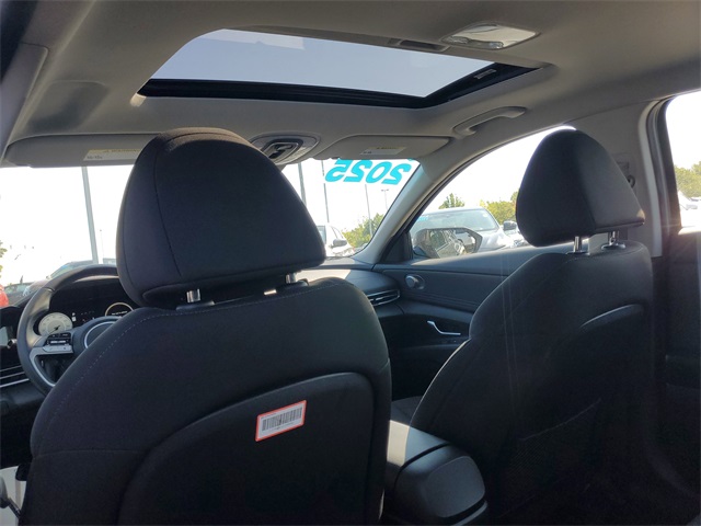 2025 Hyundai Elantra SEL Convenience photo 8