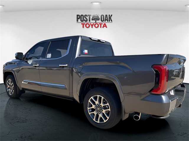 2025 Toyota Tundra 1794 Edition photo 5