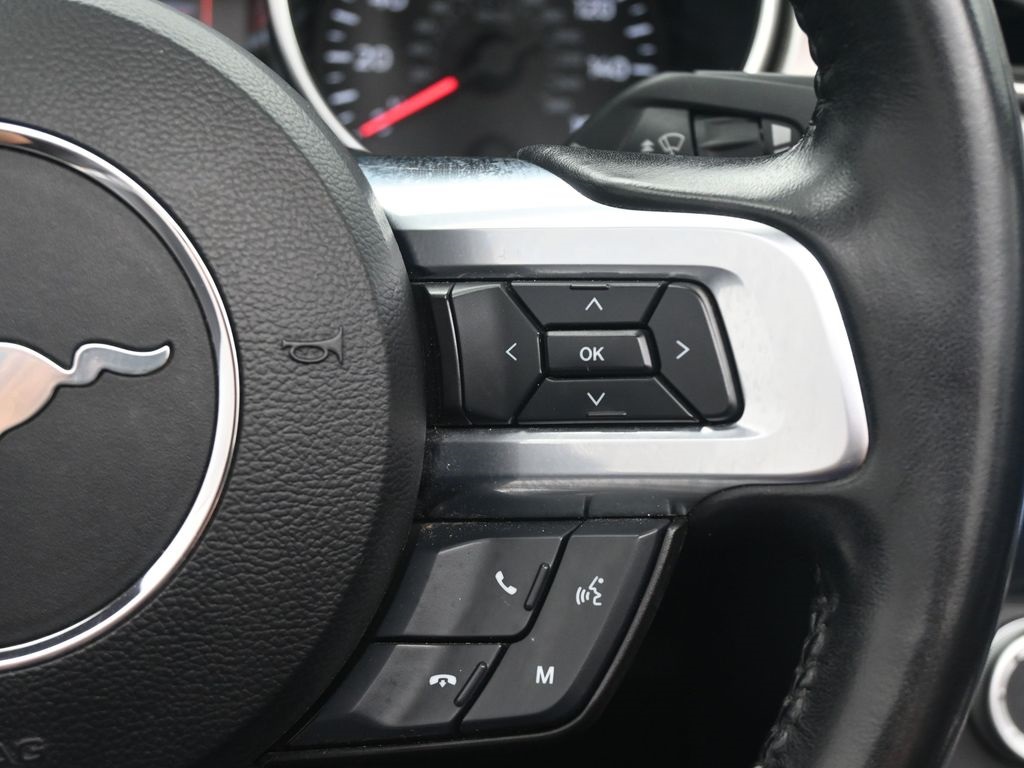2023 Ford Mustang EcoBoost Premium photo 2