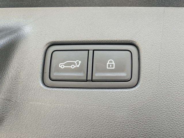 2025 Hyundai Santa Fe Calligraphy photo 3