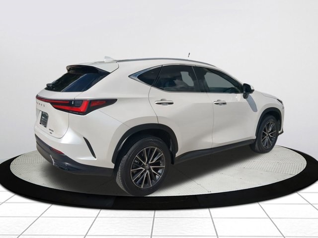 2025 Lexus NX 350 Luxury photo 4