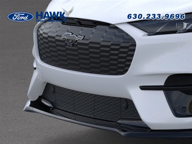 2025 Ford Mustang Mach-E Premium photo 14