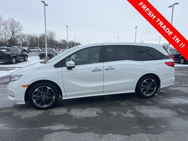 2022 Honda Odyssey Elite's photo