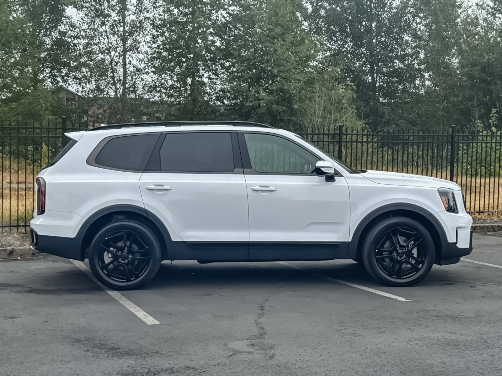 2025 Kia Telluride X-Line photo 2