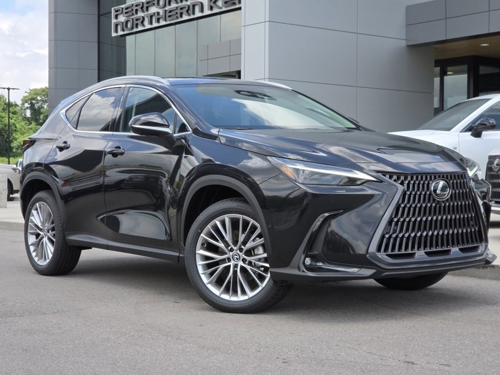 2025 Lexus NX 350 Luxury AWD photo 2