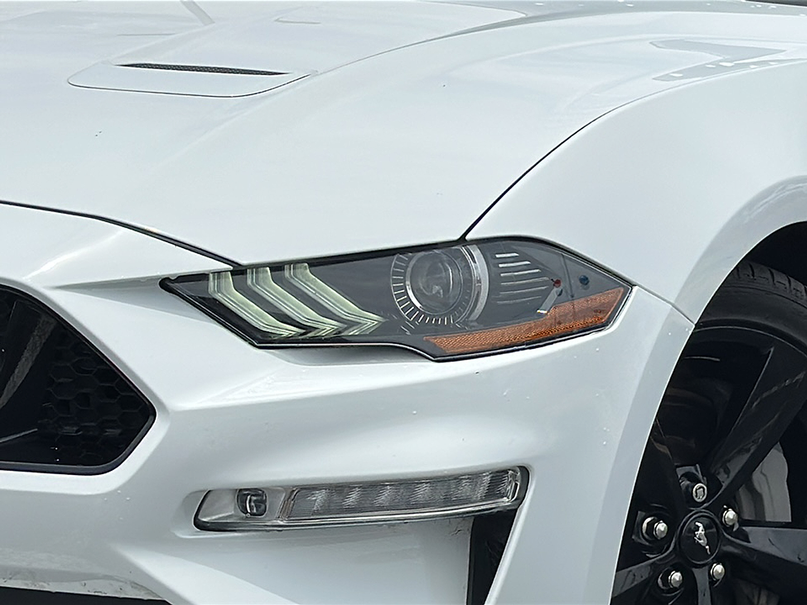 2023 Ford Mustang GT Premium photo 2